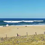 Joli T3 Pays Basque Landes Lägenhet *